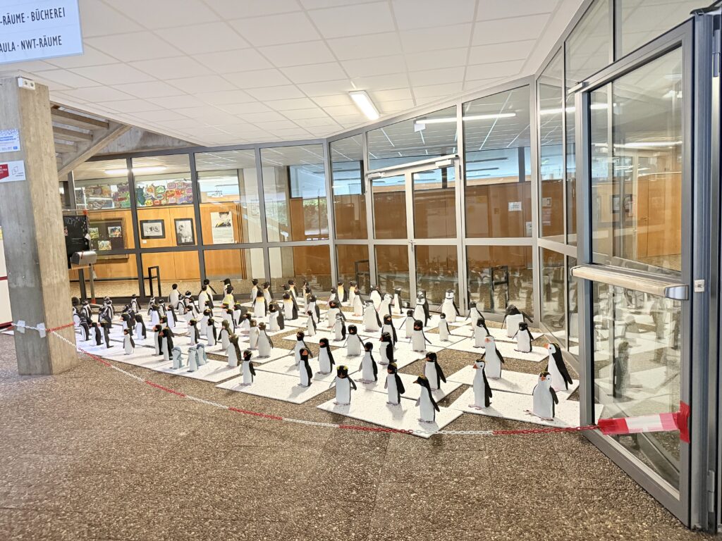 Pinguin ist nicht gleich Pinguin - wer kennt beispielsweise den extravaganten Gelbaugenpinguin?