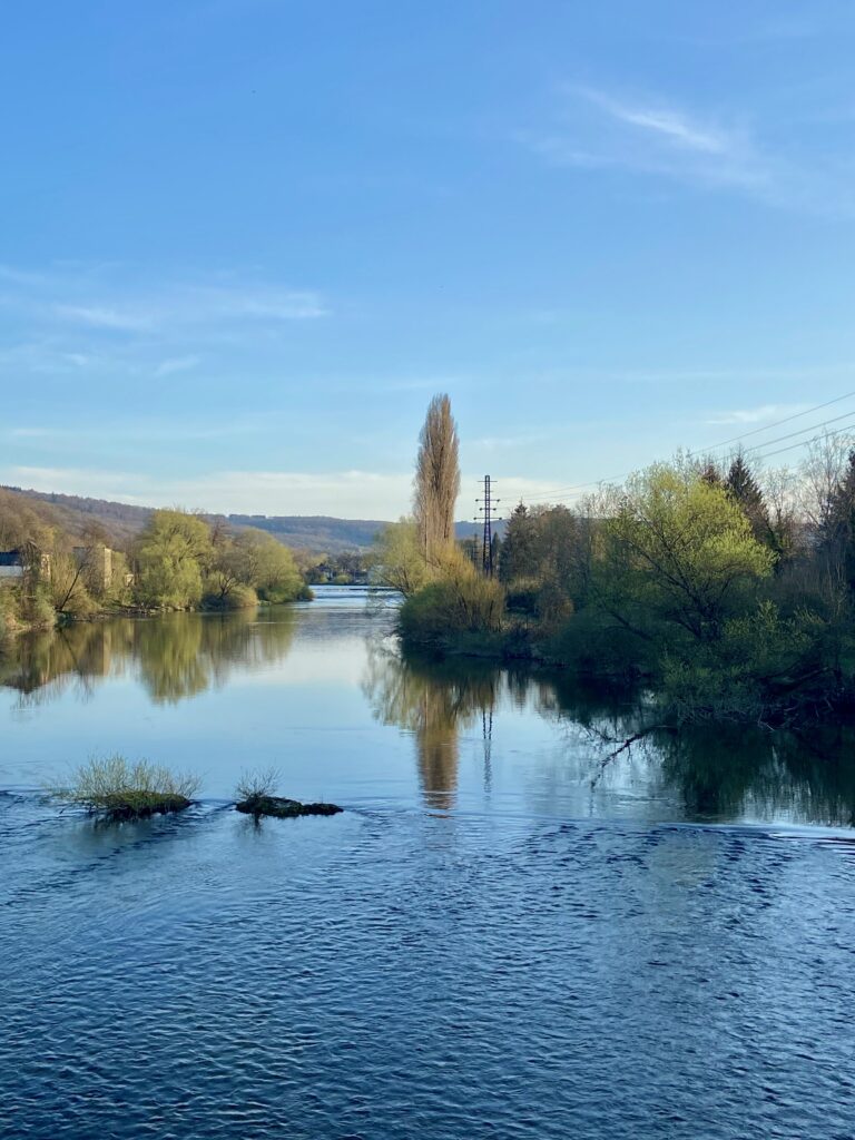 Frankreichaustausch: La vie est belle!